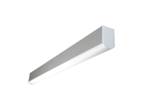 LINEA 1 - Image 3
