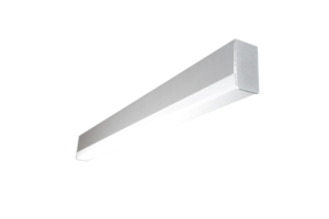 LINEA 1
