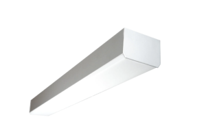 LINEA 3 - Image 5